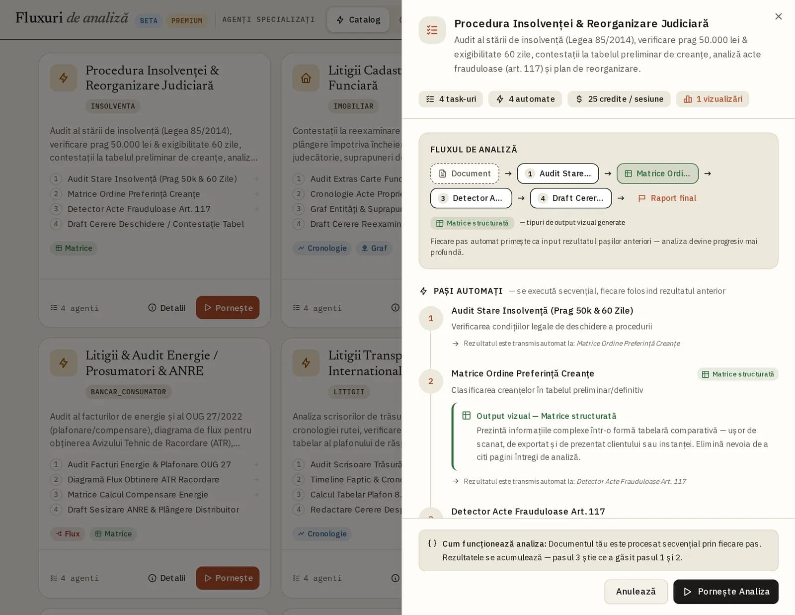 Detaliile fluxului Procedura Insolvenței: diagrama Document → 4 pași → Raport final și lista pașilor automați
